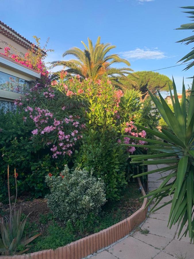 Rose De Sel Διαμέρισμα Ιέρ Εξωτερικό φωτογραφία